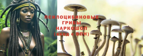 прущие крисы Белоозёрский