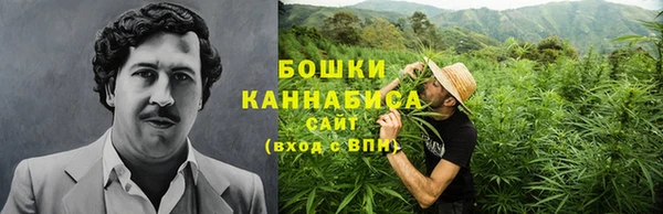 прущие крисы Белоозёрский
